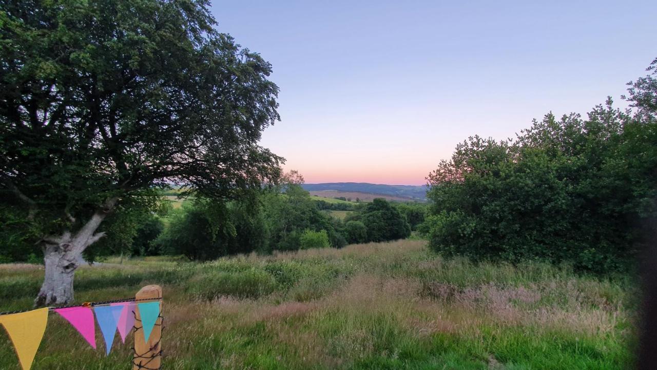 Calon Y Goedwig Glamping Hotel Llandovery Kültér fotó
