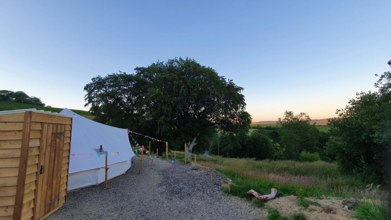 Calon Y Goedwig Glamping Hotel Llandovery Kültér fotó