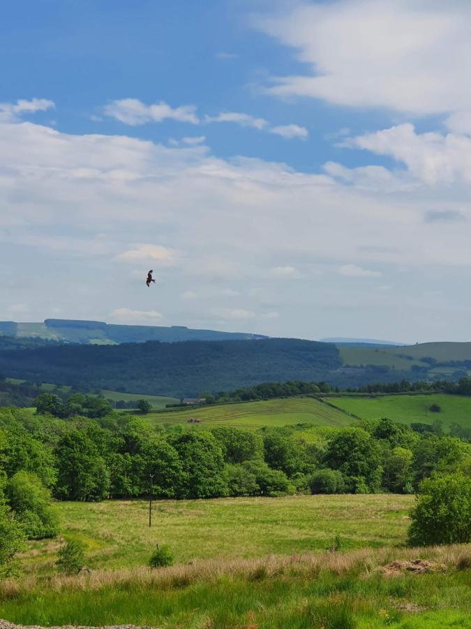 Calon Y Goedwig Glamping Hotel Llandovery Kültér fotó