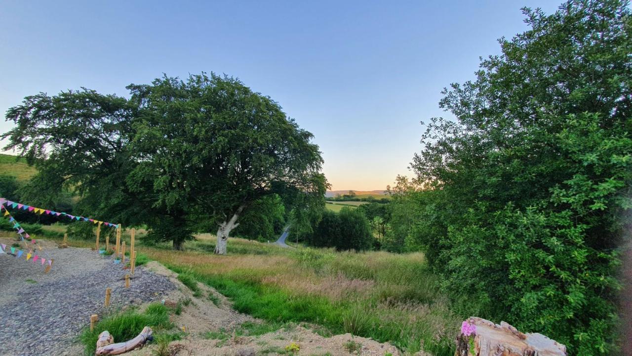 Calon Y Goedwig Glamping Hotel Llandovery Kültér fotó