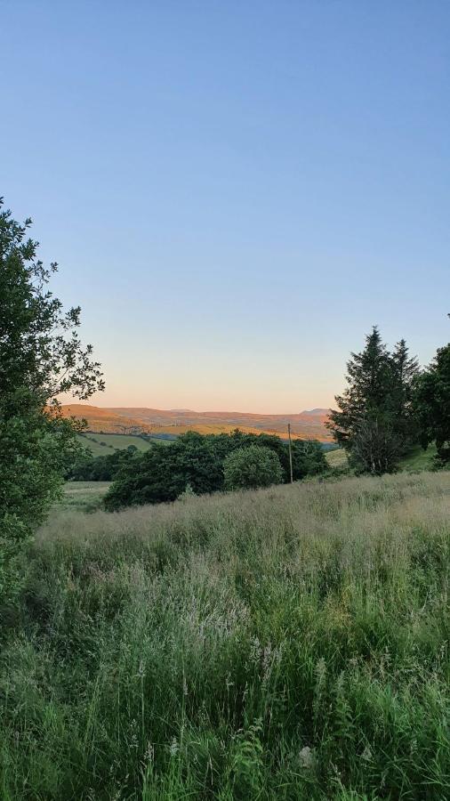 Calon Y Goedwig Glamping Hotel Llandovery Kültér fotó