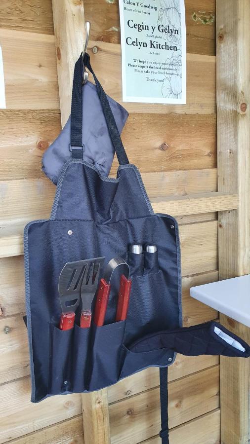 Calon Y Goedwig Glamping Hotel Llandovery Kültér fotó