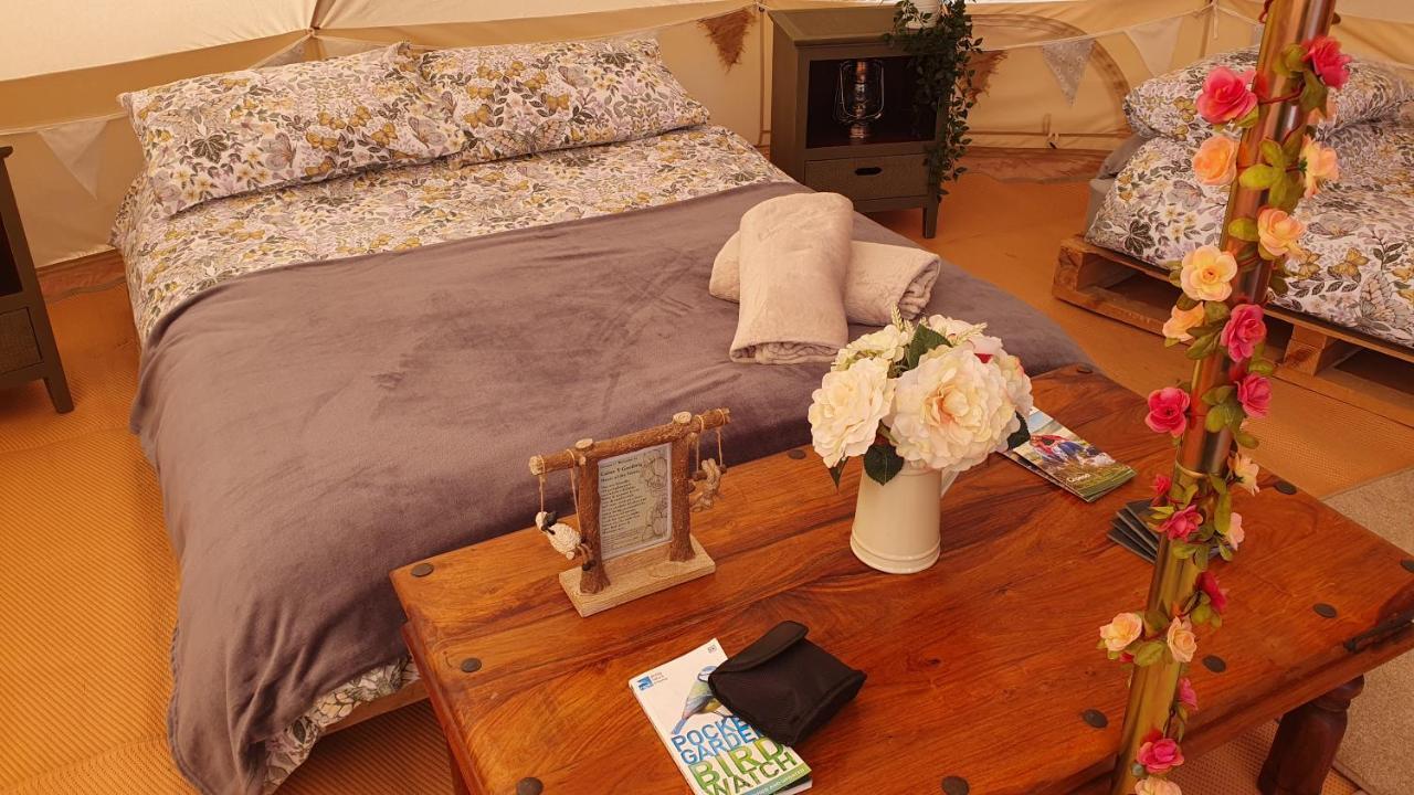 Calon Y Goedwig Glamping Hotel Llandovery Kültér fotó