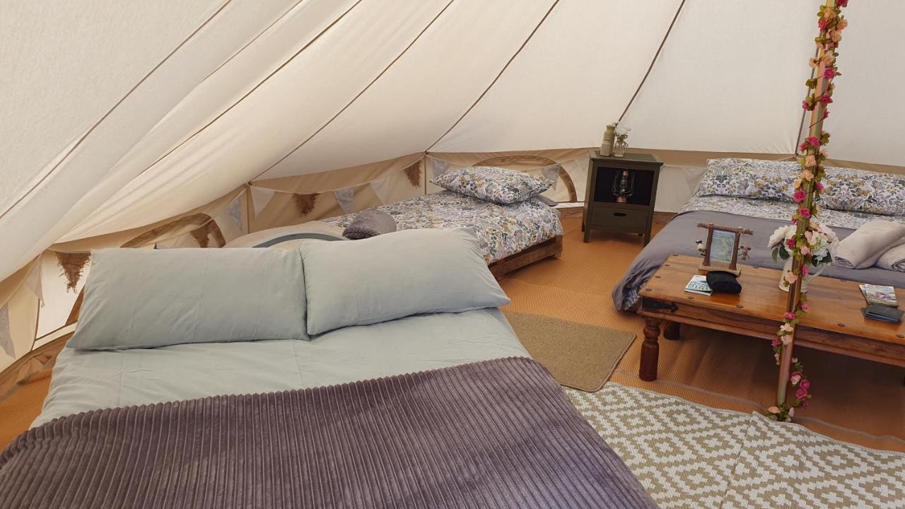 Calon Y Goedwig Glamping Hotel Llandovery Kültér fotó