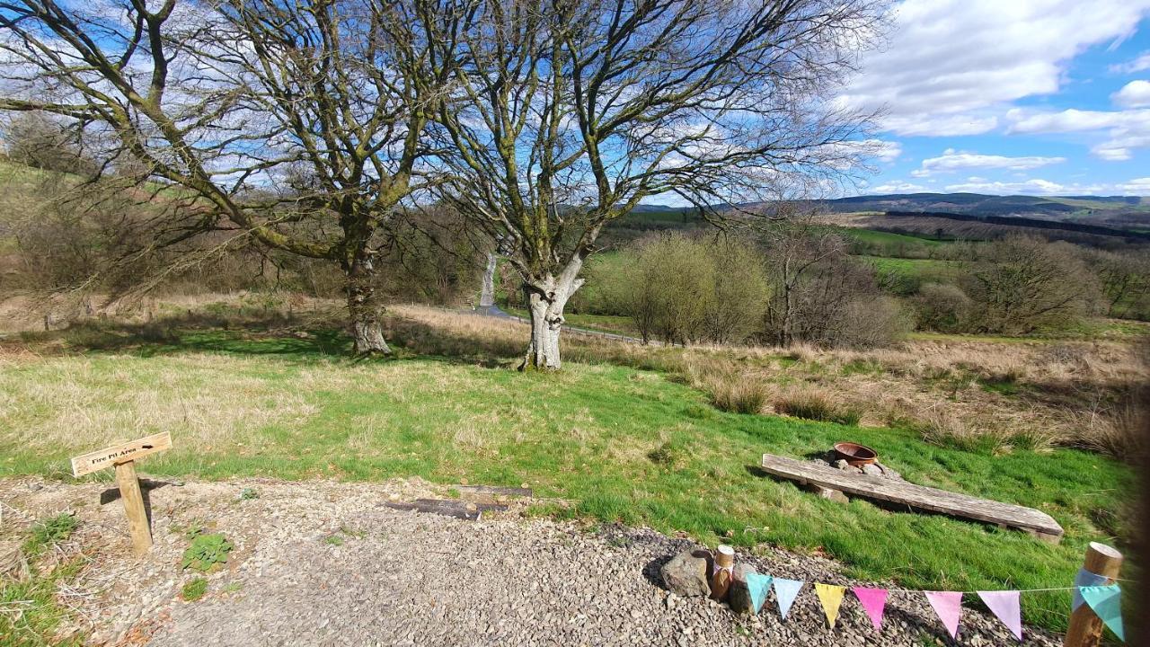 Calon Y Goedwig Glamping Hotel Llandovery Kültér fotó