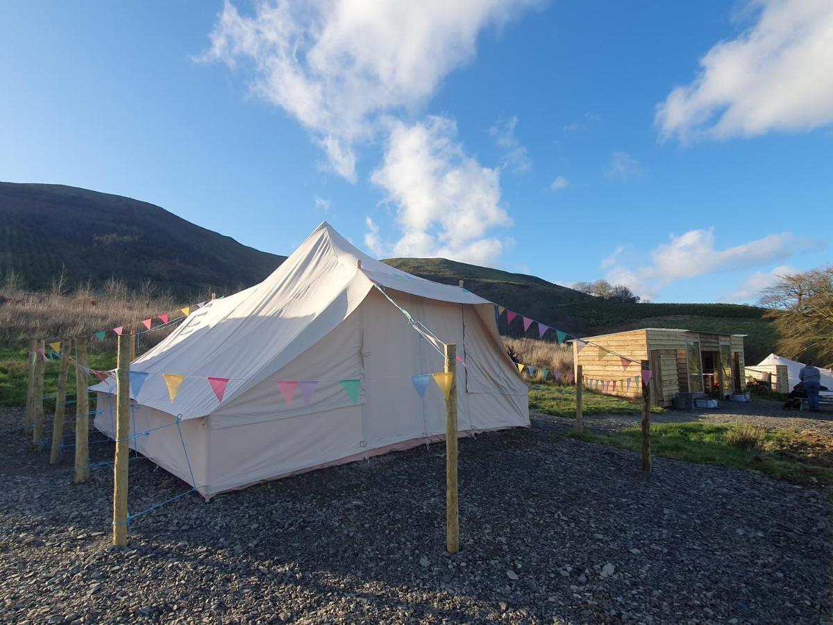 Calon Y Goedwig Glamping Hotel Llandovery Kültér fotó