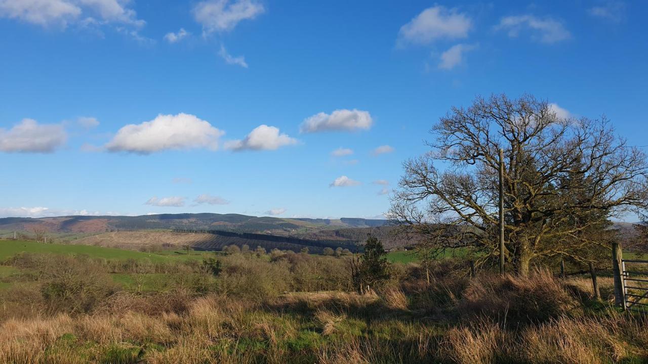 Calon Y Goedwig Glamping Hotel Llandovery Kültér fotó