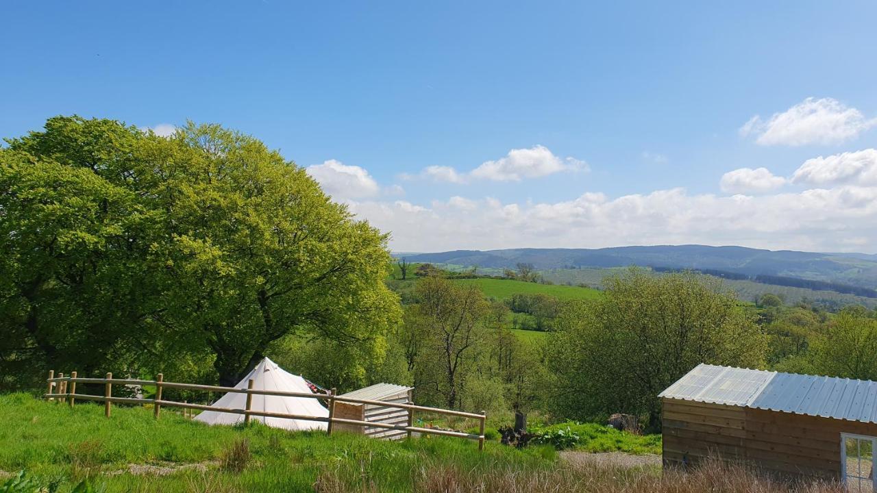Calon Y Goedwig Glamping Hotel Llandovery Kültér fotó