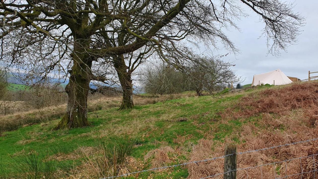 Calon Y Goedwig Glamping Hotel Llandovery Kültér fotó