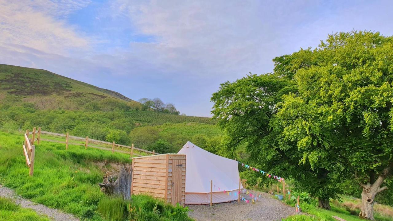 Calon Y Goedwig Glamping Hotel Llandovery Kültér fotó