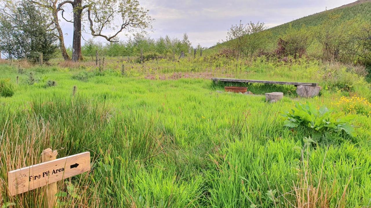 Calon Y Goedwig Glamping Hotel Llandovery Kültér fotó