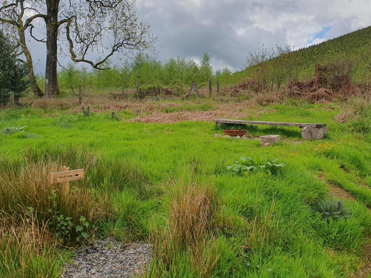 Calon Y Goedwig Glamping Hotel Llandovery Kültér fotó