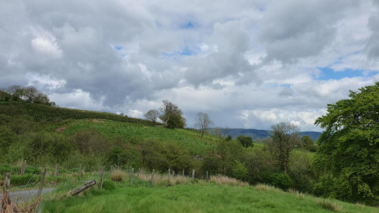 Calon Y Goedwig Glamping Hotel Llandovery Kültér fotó