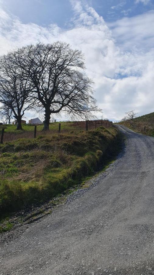 Calon Y Goedwig Glamping Hotel Llandovery Kültér fotó