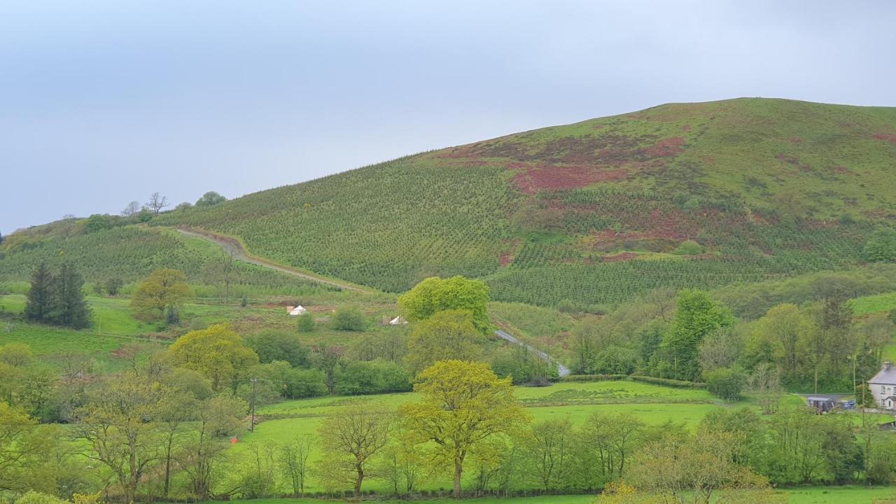 Calon Y Goedwig Glamping Hotel Llandovery Kültér fotó
