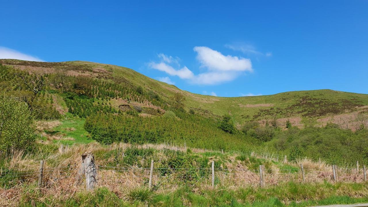 Calon Y Goedwig Glamping Hotel Llandovery Kültér fotó