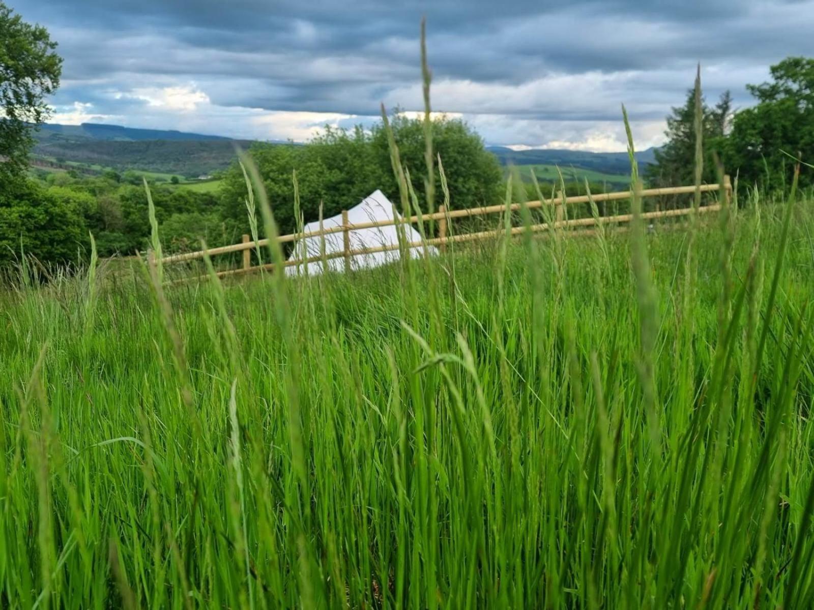 Calon Y Goedwig Glamping Hotel Llandovery Kültér fotó